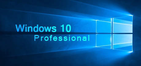 Windows 10 Professional OEM