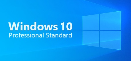 Windows 10 Professional Standard