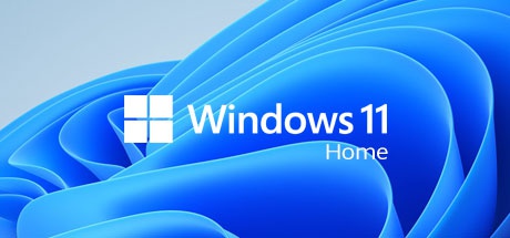 Windows 11 Home OEM