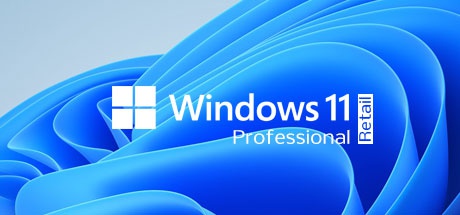 Windows 11 Professional RETAIL